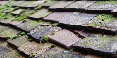 Black Rock roof repair costs
